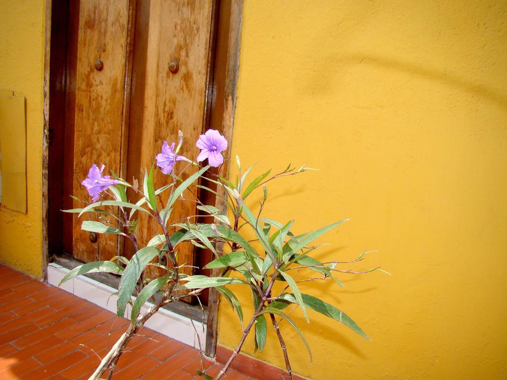 Hotel Casa Vieja Santa Marta  Exterior foto